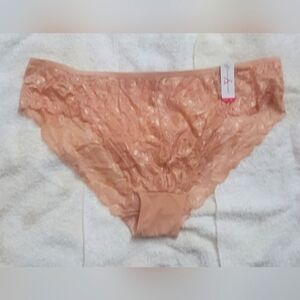 ASHLEY STEWART Cream (blush) Panties 2x